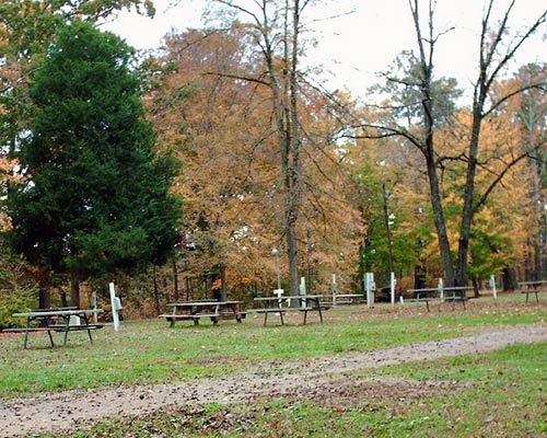 campground at steele creek marina