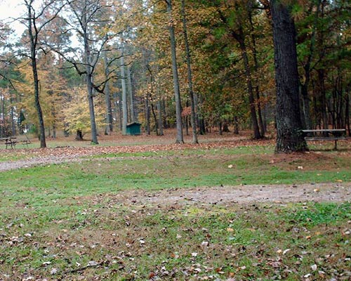 campground at steele creek marina