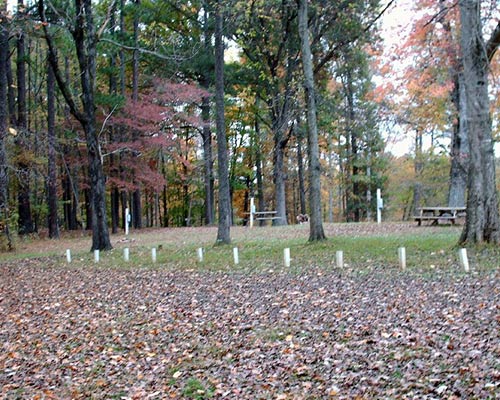 campground at steele creek marina